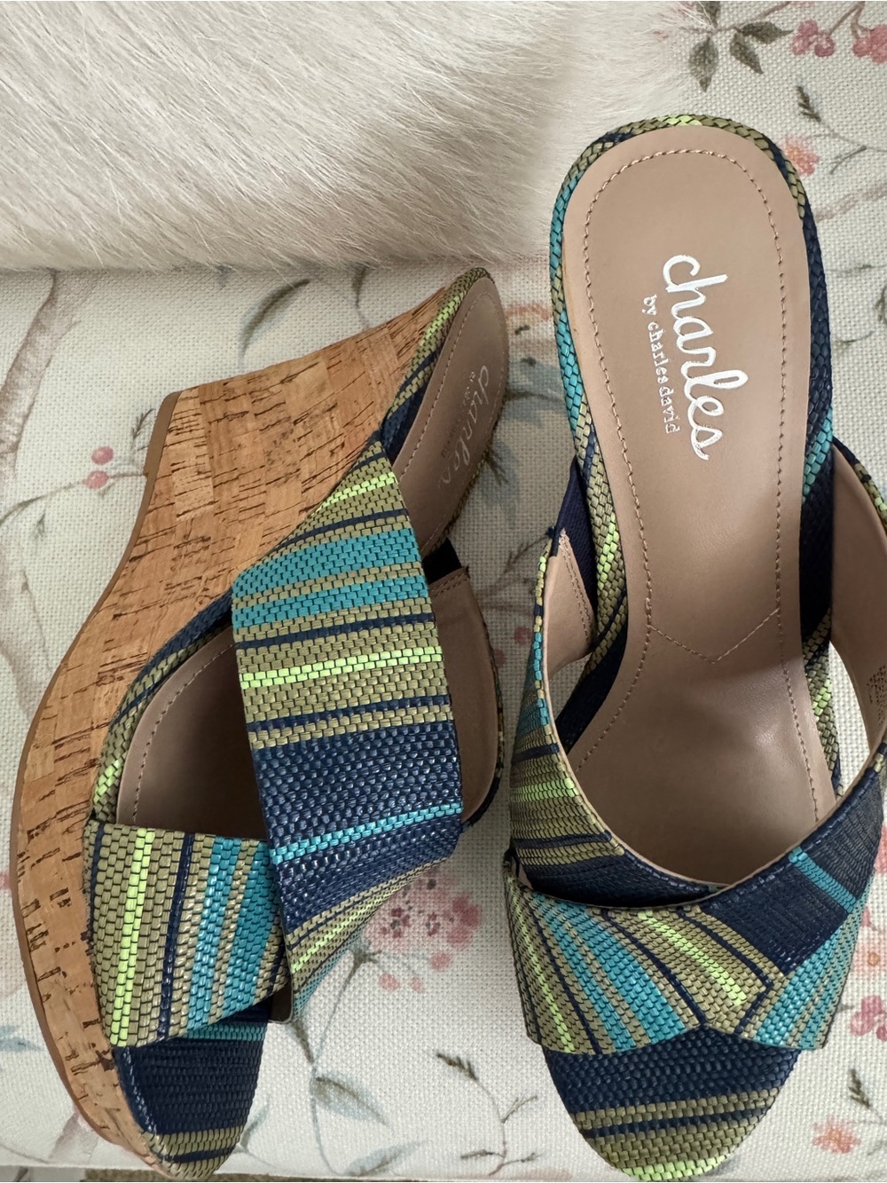 Charles by Charles David Blue and Green Striped Cork Wedge Sandals 7.5 NIB